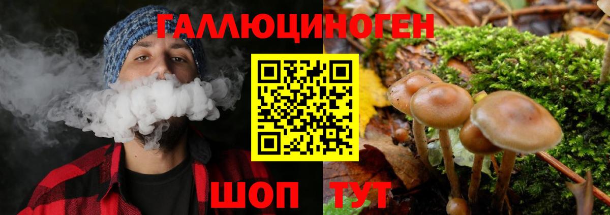 Будённовск  Псилоцибиновые грибы мицелий  Галлюциногенные грибы MAGIC MUSHROOMS  купить наркотик  Вход с VPN 
